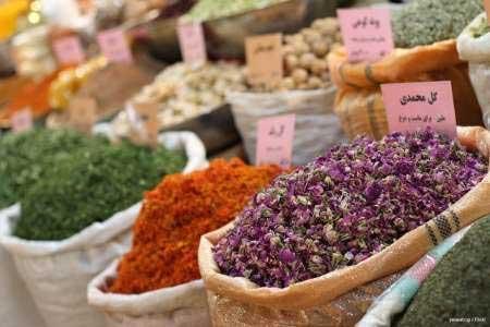 گیاهان دارویی کرونا ندارند گیاهان دارویی کرونا ندارند