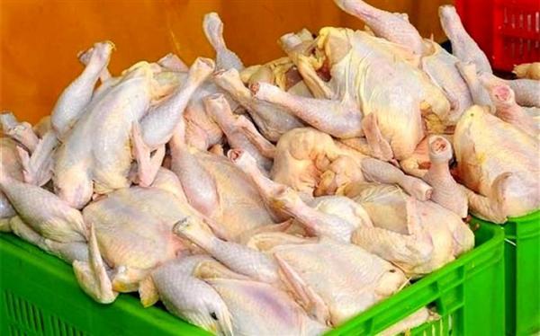 بیش از 7 هزار تن گوشت مرغ گرم امروز به بازار عرضه شد