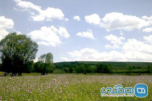 دره جنگلی ایردموسی از جاهای دیدنی سرعین به شمار می رود