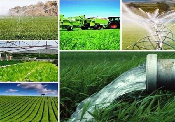 36 طرح کشاورزی در جنوب استان کرمان افتتاح می شود