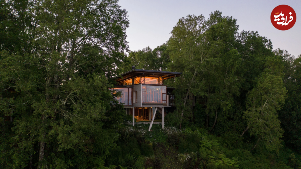خانه هایی با جنگلی ترین منظره های دنیا